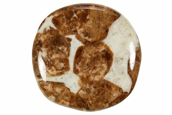 Polished Garnet In Wollastonite Stone - Namibia #343967